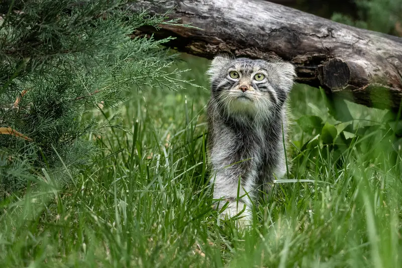 A photograph of Timofey in Moscow zoo