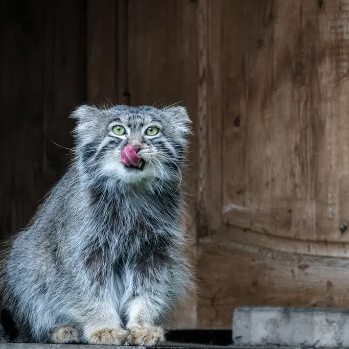 A photograph of Timofey in Moscow zoo