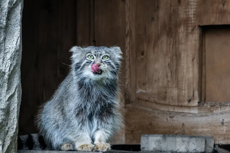 A photograph of Timofey in Moscow zoo