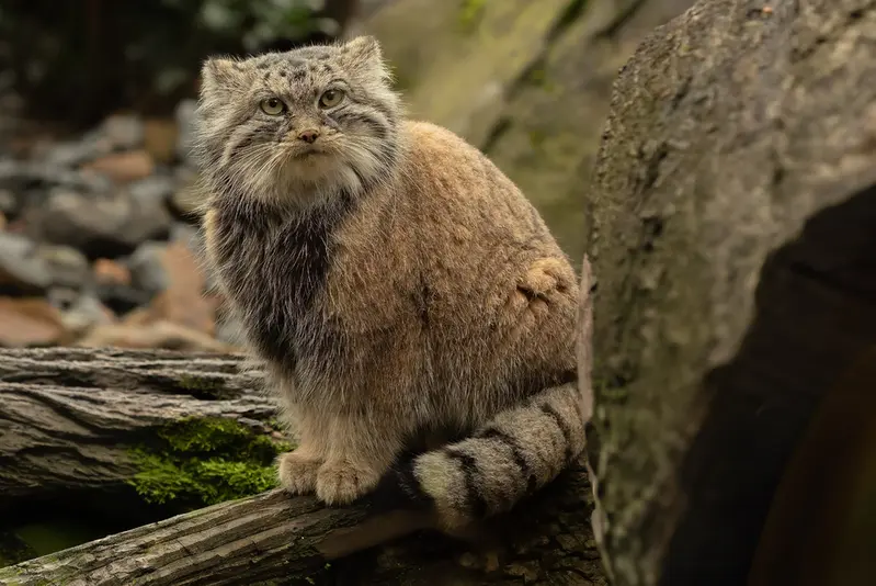 A photograph of Moira in Ostrava Zoo