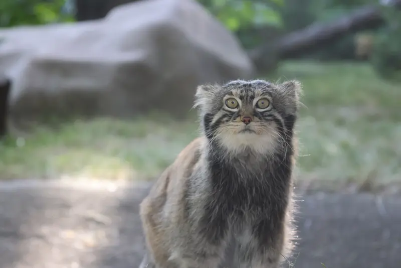 A photograph of Timofey in Moscow zoo