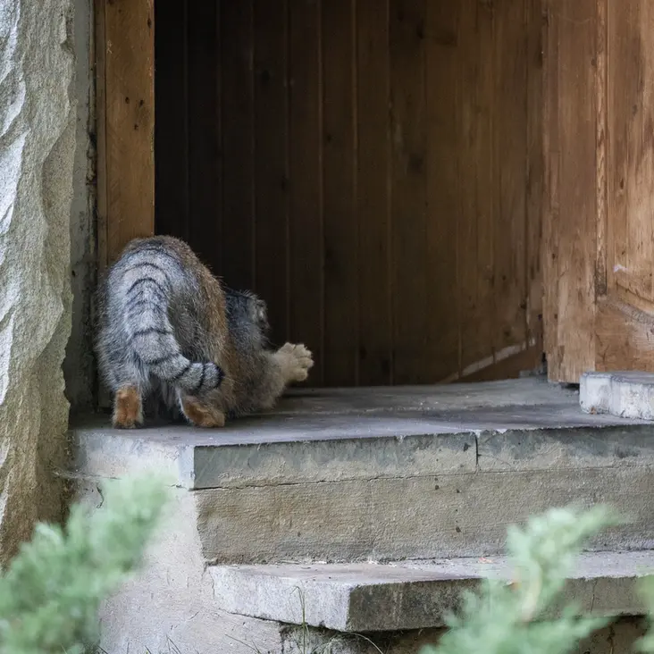 A photograph of Timofey in Moscow zoo