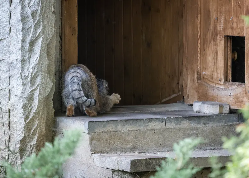 A photograph of Timofey in Moscow zoo