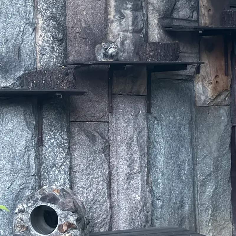 A photograph of Timofey in Moscow zoo