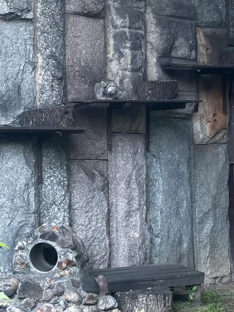 A photograph of Timofey in Moscow zoo