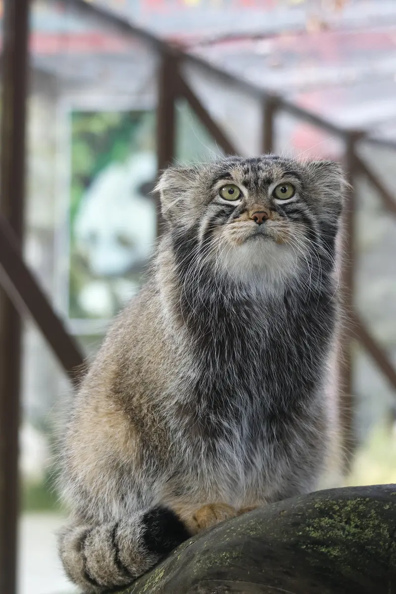 A photograph of Timofey in Moscow zoo