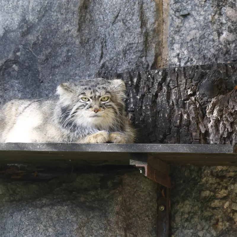 A photograph of Timofey in Moscow zoo
