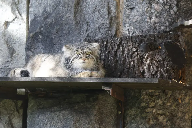 A photograph of Timofey in Moscow zoo
