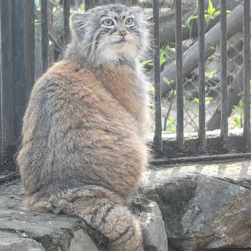 A photograph of Anya in Novosibirsk Zoo