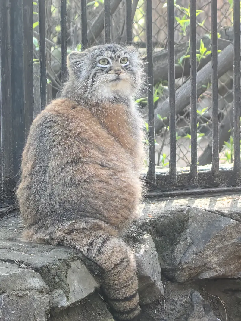 A photograph of Anya in Novosibirsk Zoo