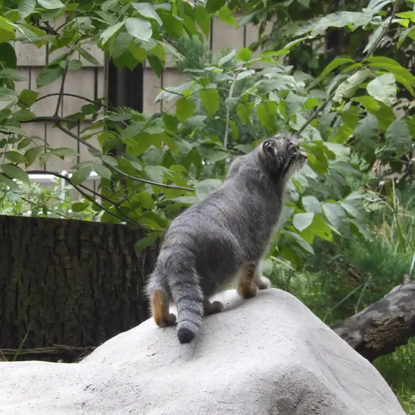A photograph of Timofey in Moscow zoo