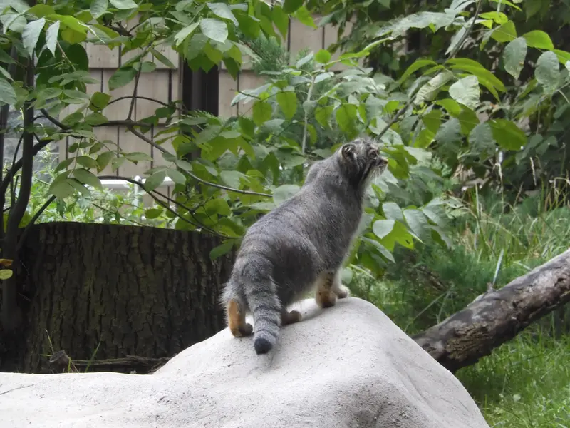 A photograph of Timofey in Moscow zoo