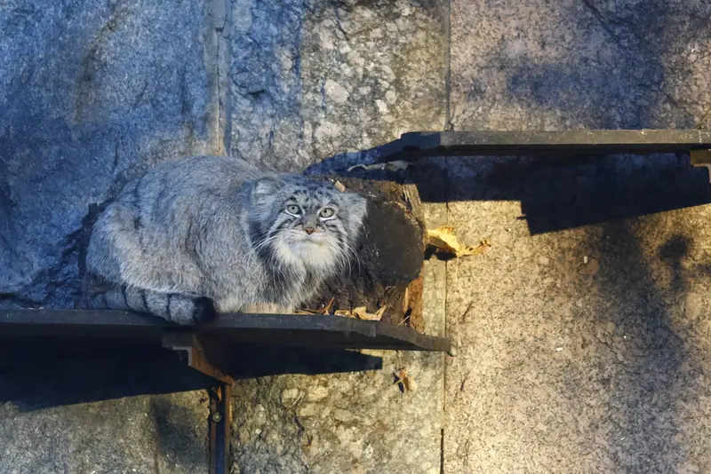 A photograph of Timofey in Moscow zoo