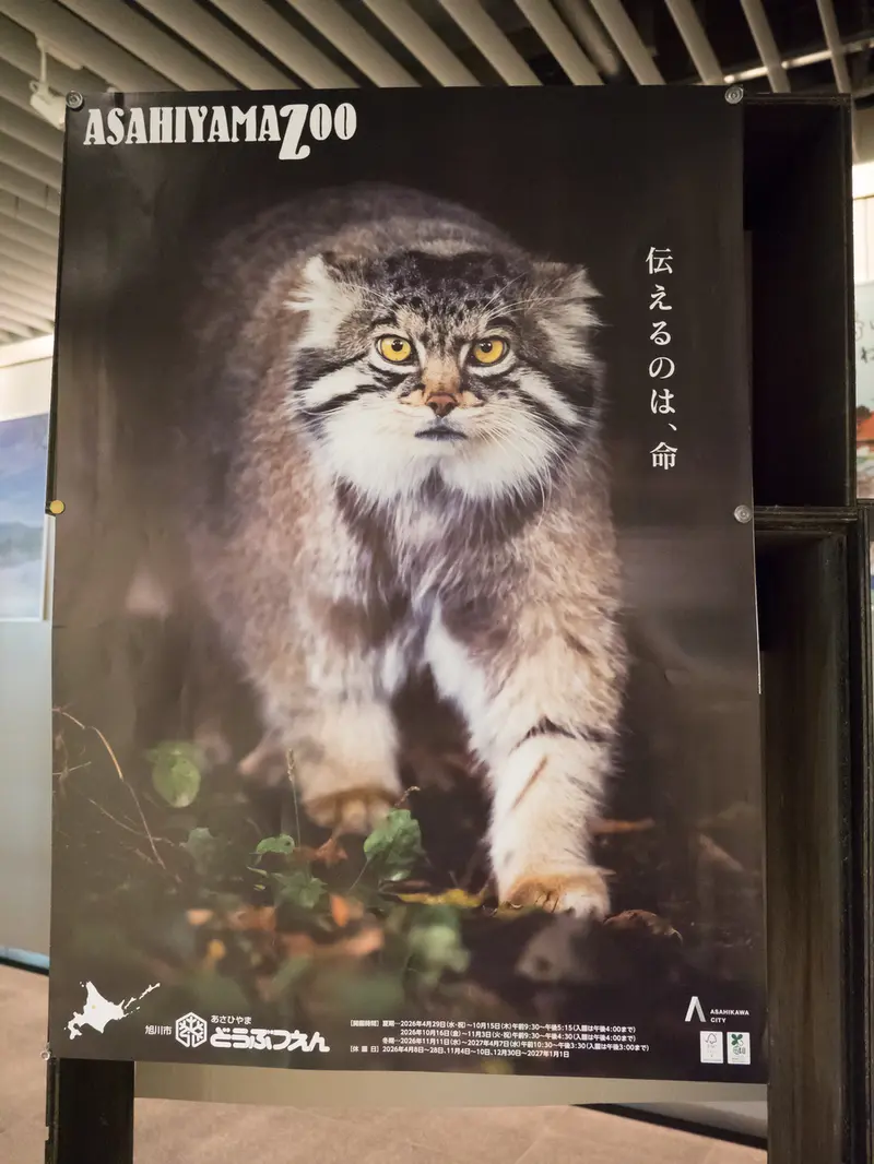 A photograph of Grusha