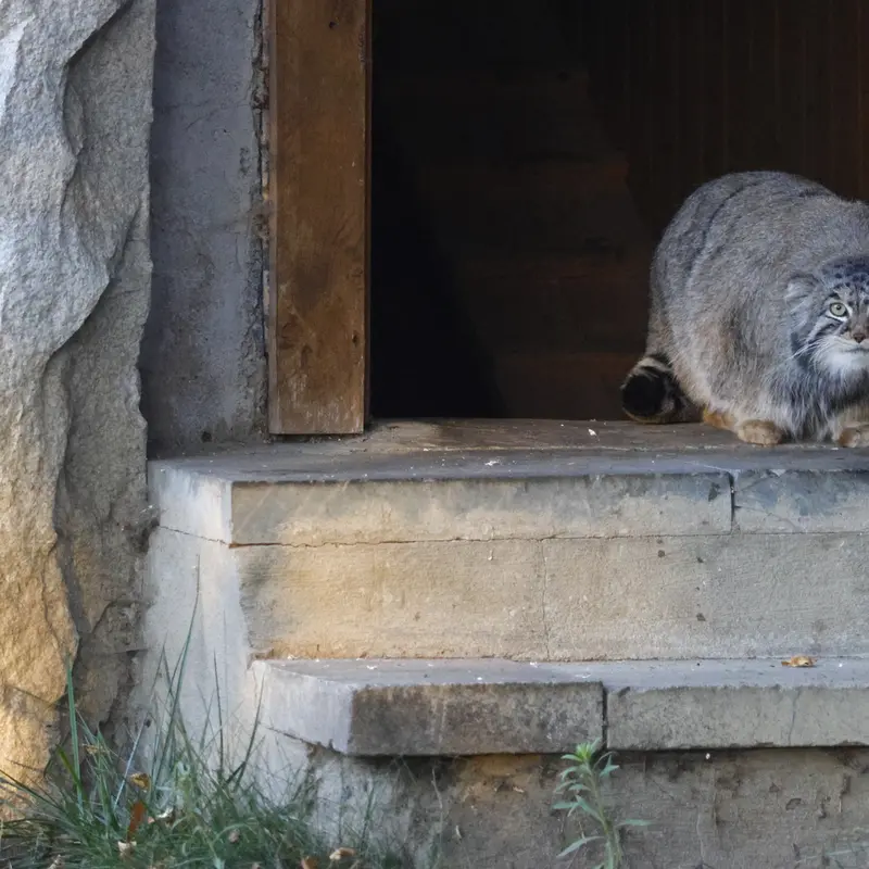 A photograph of Timofey in Moscow zoo