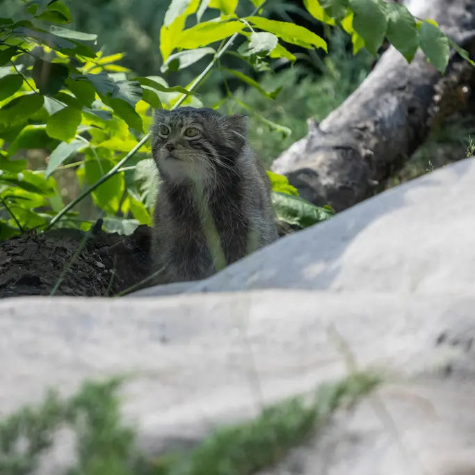 A photograph of Timofey in Moscow zoo
