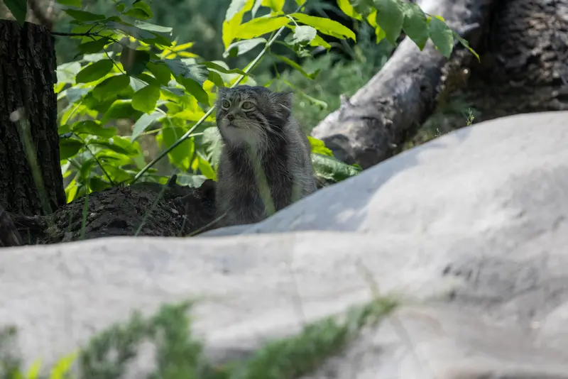 A photograph of Timofey in Moscow zoo