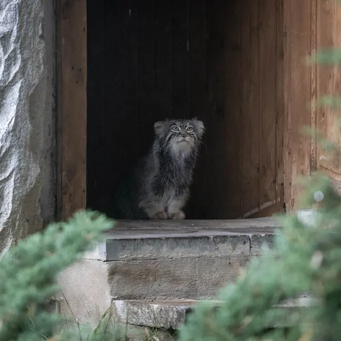 A photograph of Timofey in Moscow zoo
