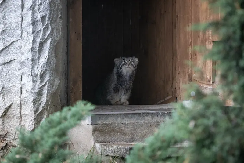 A photograph of Timofey in Moscow zoo