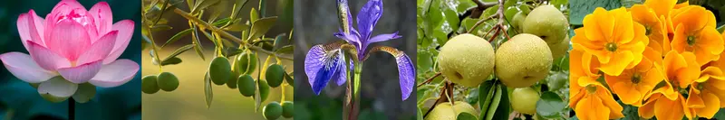 I SWEAR THEY JUST HONKED AT ME