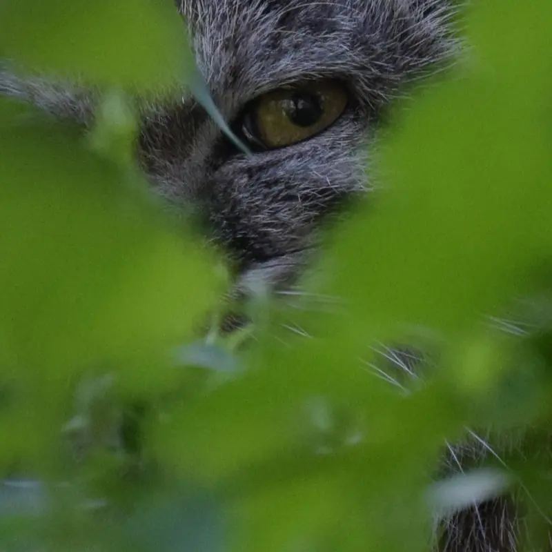 A photograph of Lucy in Budapest Zoo & Botanical Garden