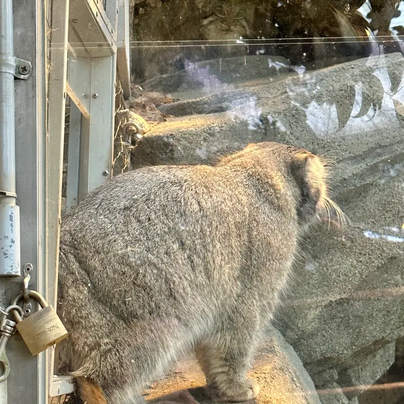 A photograph of Az and Nar in Kobe Animal Kingdom