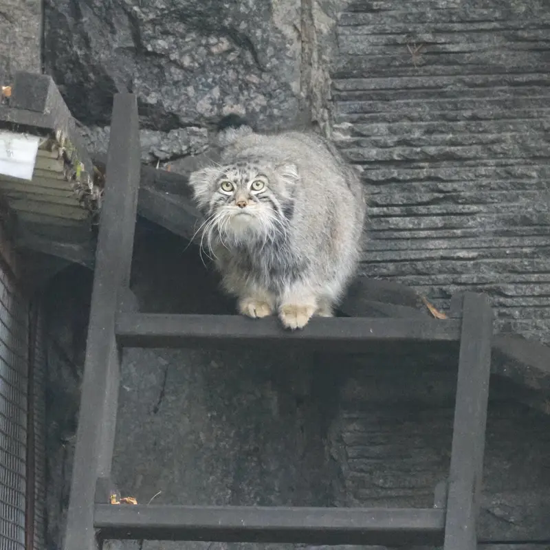 A photograph of Timofey in Moscow zoo