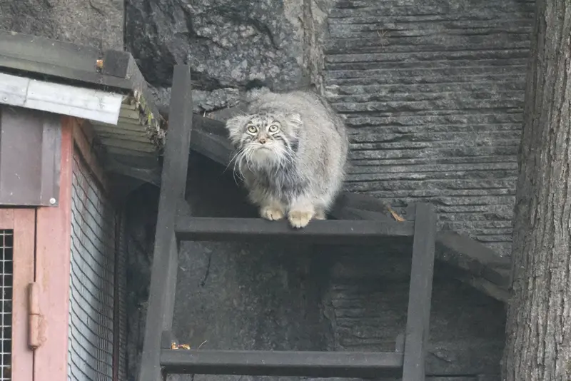 A photograph of Timofey in Moscow zoo