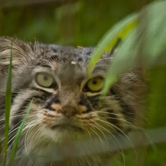 A photograph of Karl-Heinz in Saarbrücken Zoo