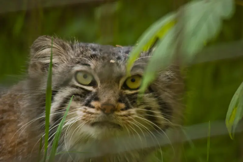 A photograph of Karl-Heinz in Saarbrücken Zoo