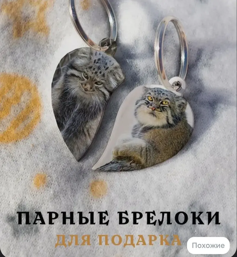 Help me find the Pallas's cats in this photo.