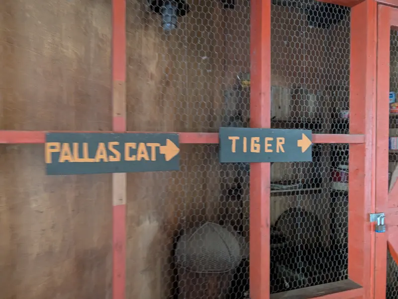 A photograph of a Pallas&#039;s cat in Columbus Zoo and Aquarium