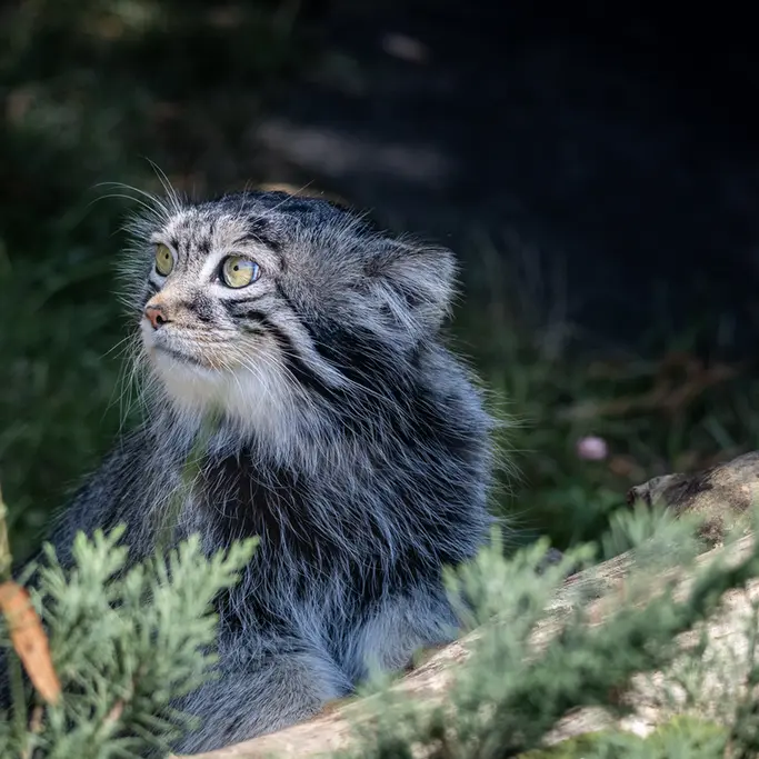 A photograph of Timofey in Moscow zoo