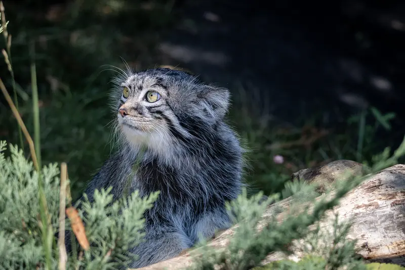 A photograph of Timofey in Moscow zoo