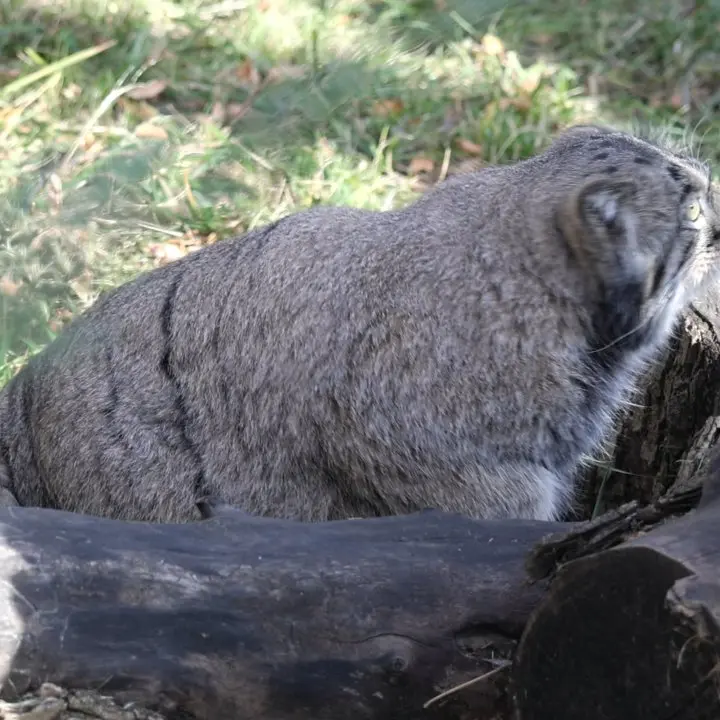 A photograph of Timofey in Moscow zoo