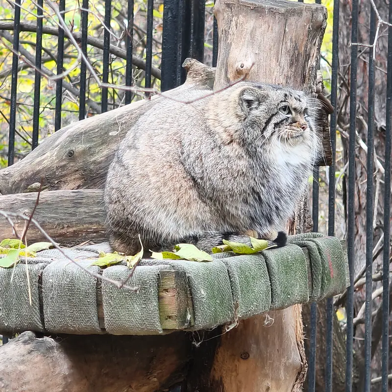 A photograph of Anya in Novosibirsk Zoo