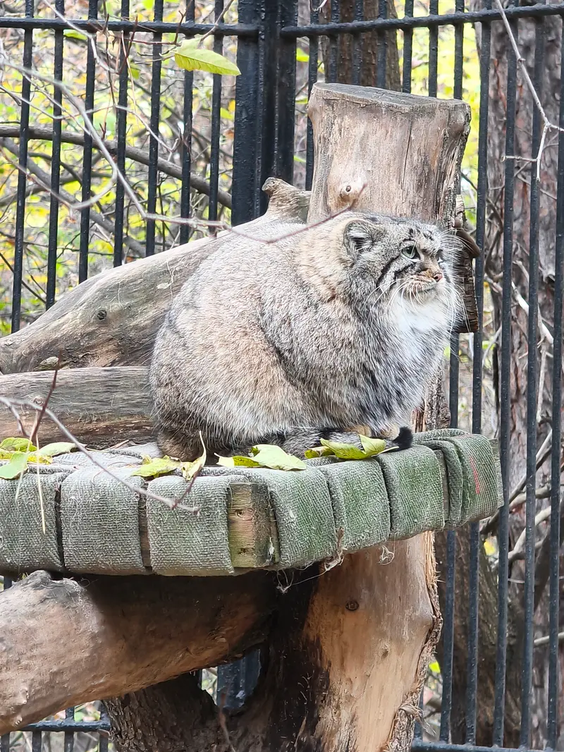 A photograph of Anya in Novosibirsk Zoo
