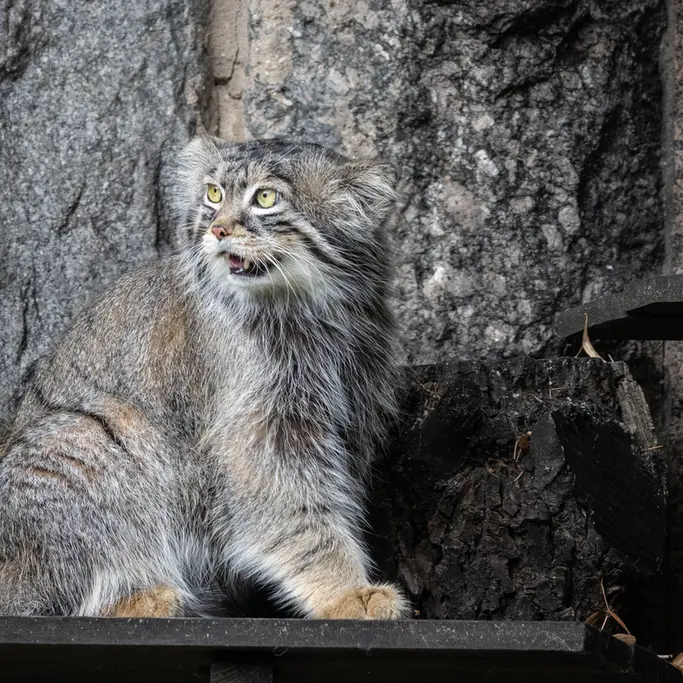 A photograph of Timofey in Moscow zoo