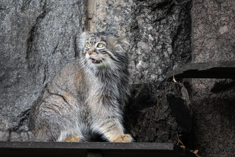 A photograph of Timofey in Moscow zoo