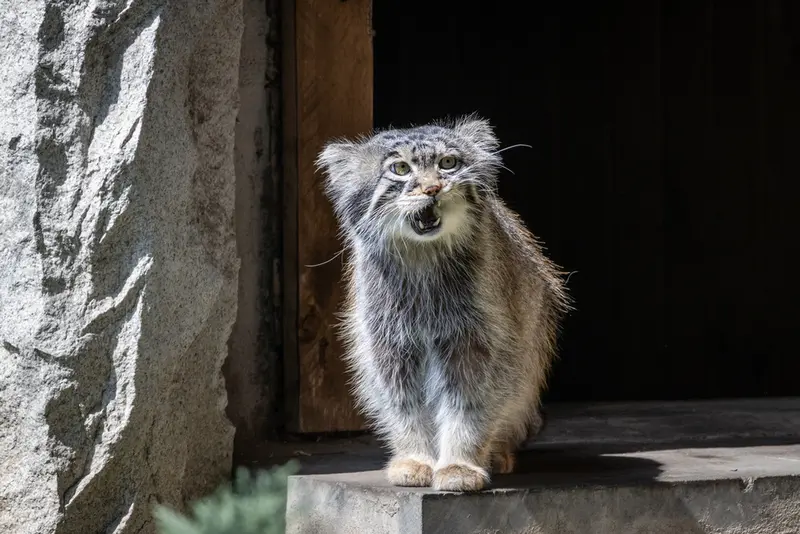 A photograph of Timofey in Moscow zoo