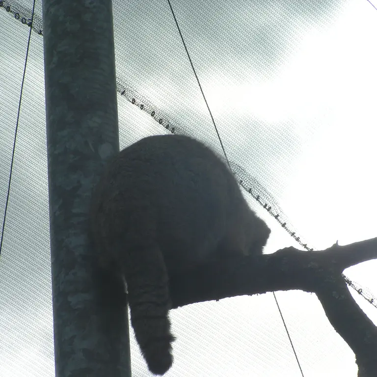 A photograph of Bat-Erdene in The Lakeland Wildlife Oasis