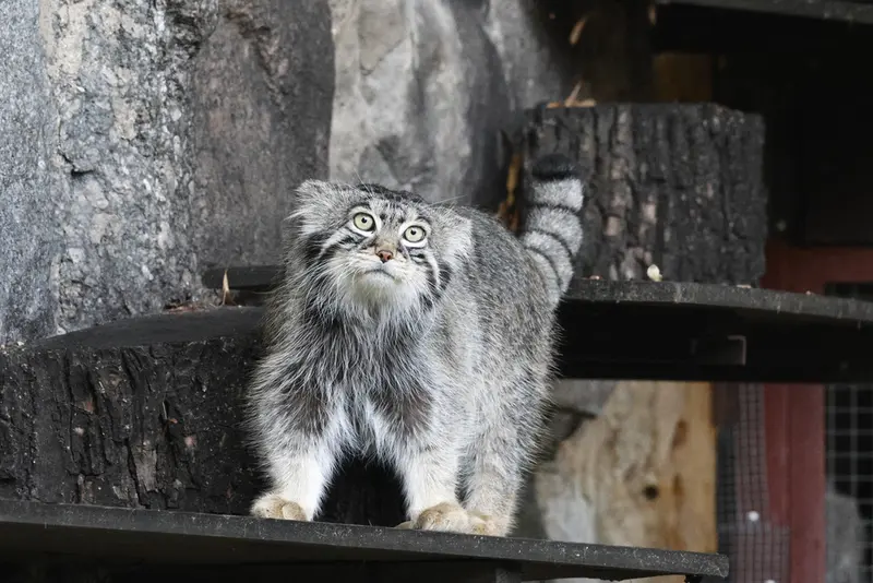 A photograph of Timofey in Moscow zoo