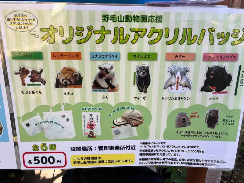 A photograph of Figa in Nogeyama Zoo