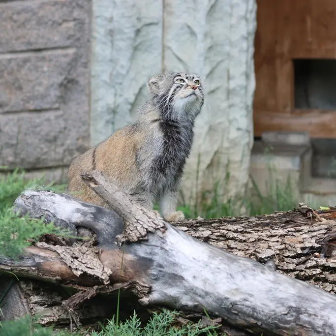 A photograph of Timofey in Moscow zoo