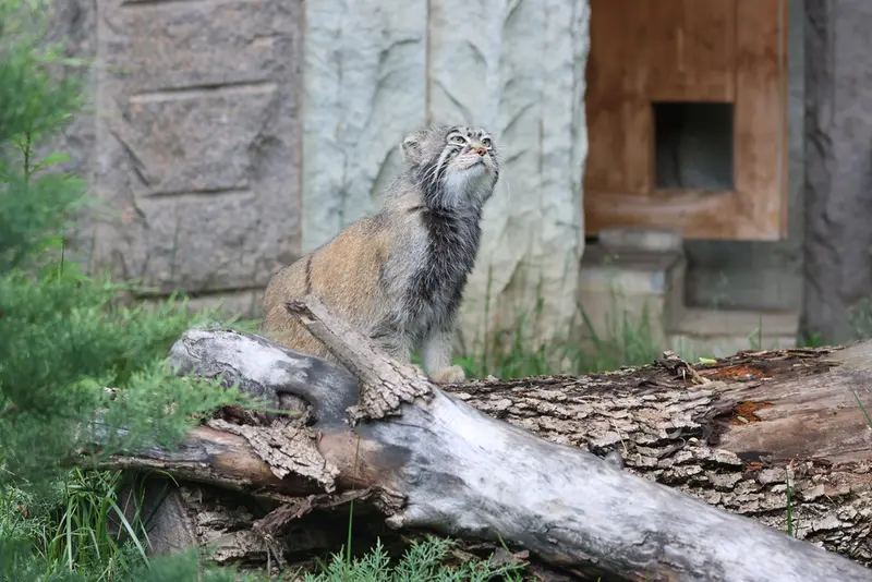 A photograph of Timofey in Moscow zoo