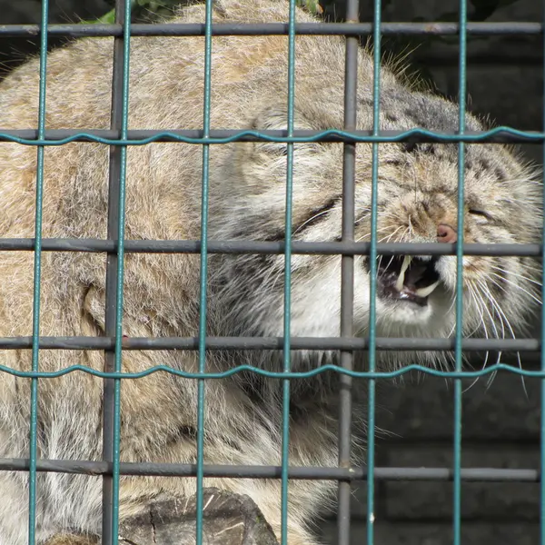 A photograph of Jonathan in Magdeburg Zoo