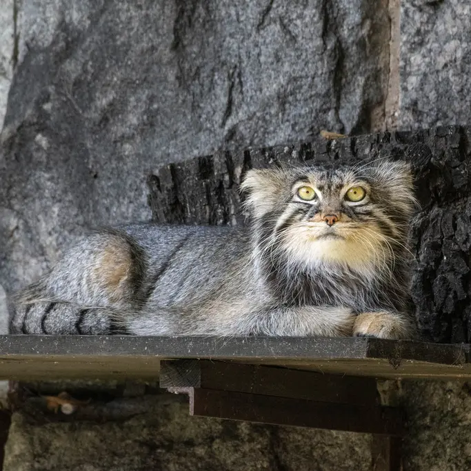 A photograph of Timofey in Moscow zoo