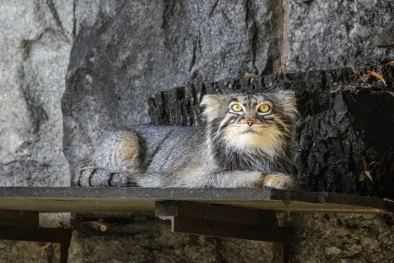 A photograph of Timofey in Moscow zoo