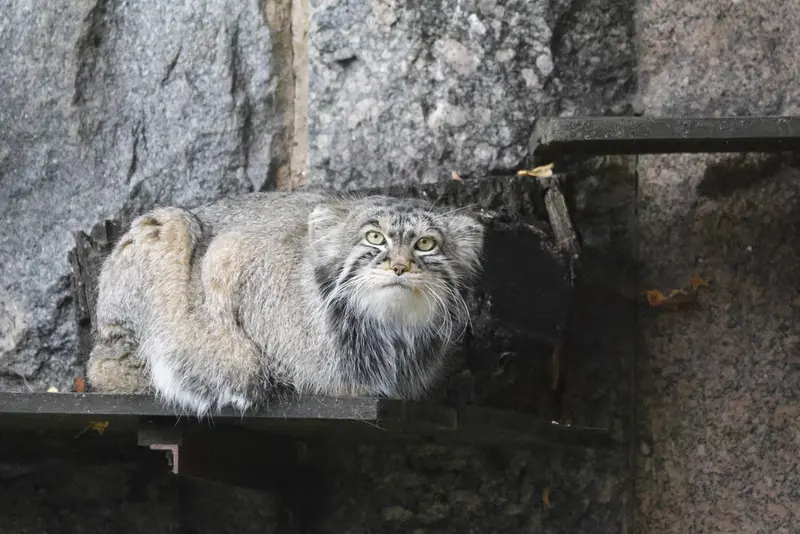 A photograph of Timofey in Moscow zoo