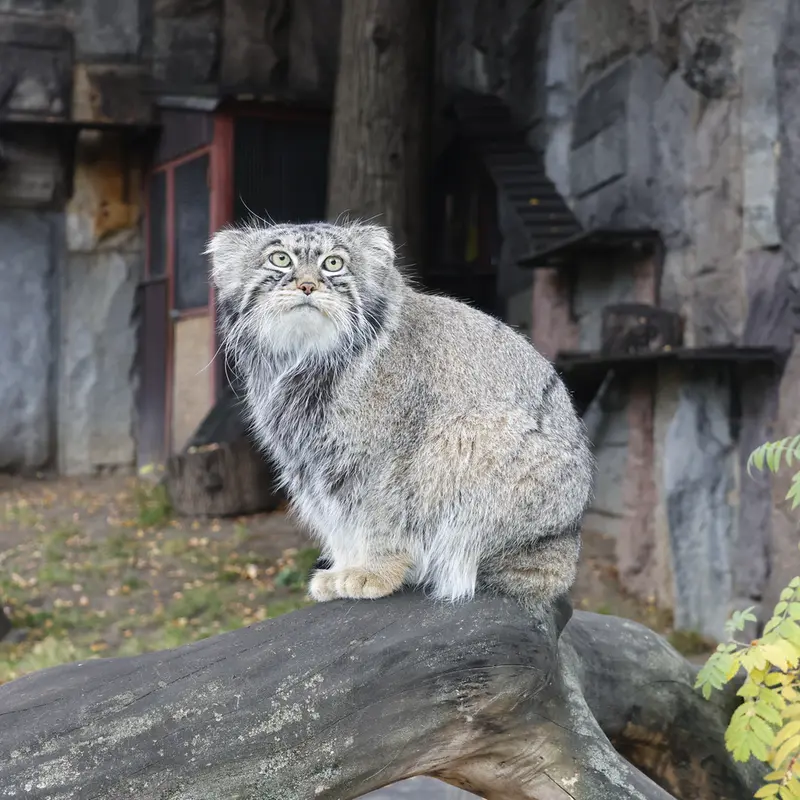 A photograph of Timofey in Moscow zoo